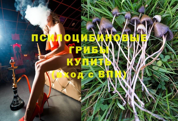 бошки Алзамай